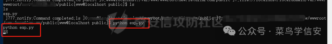 Running exploit script