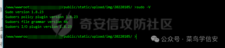 Sudo version