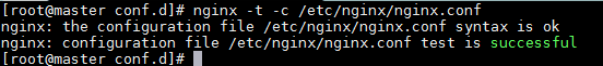 Nginx syntax check